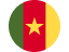 Cameroon flag