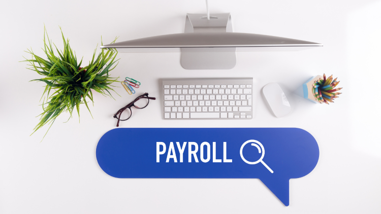 Payroll Software in Namibia: Why You Need It