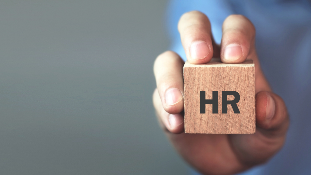 WhiteLabel HR Software A Brief Explanation PaySpace