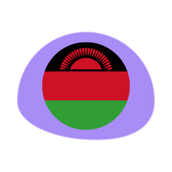 Malawi Payroll Tax Guide Malawi Payroll Tax Guide