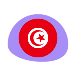 Tunisia Payroll Tax Guide Tunisia Payroll Tax Guide