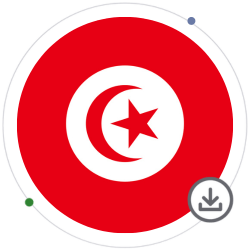 Tunisia Tax Guide